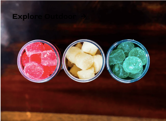 Torch THC Gummies product lineup with assorted flavors